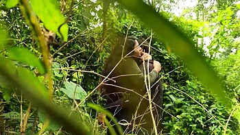 Desi Teen Sucks Cock Deep in Jungle