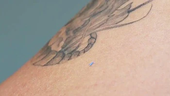 Giganta Sasha con curvas folla por accidente a hombres diminutos POV