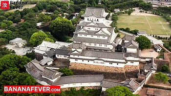 Kenzie Reeves creampied by Asian cock