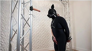 Mistress Milks Gagged Slave’s Cock with Dildo