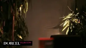 Swinger threesome and Double Penetration