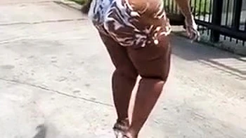 Synsational Compilation